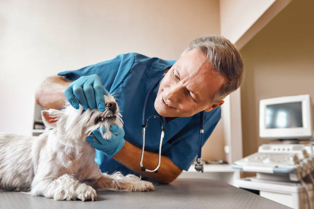 Best Same-Day Emergency Dentist in Munday, TX
